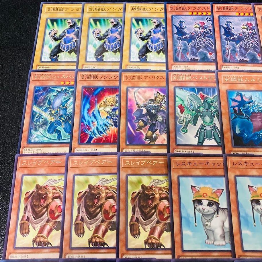 d138遊戯王 剣闘獣 グラディアルビースト デッキ 調整パーツ スリーブ付