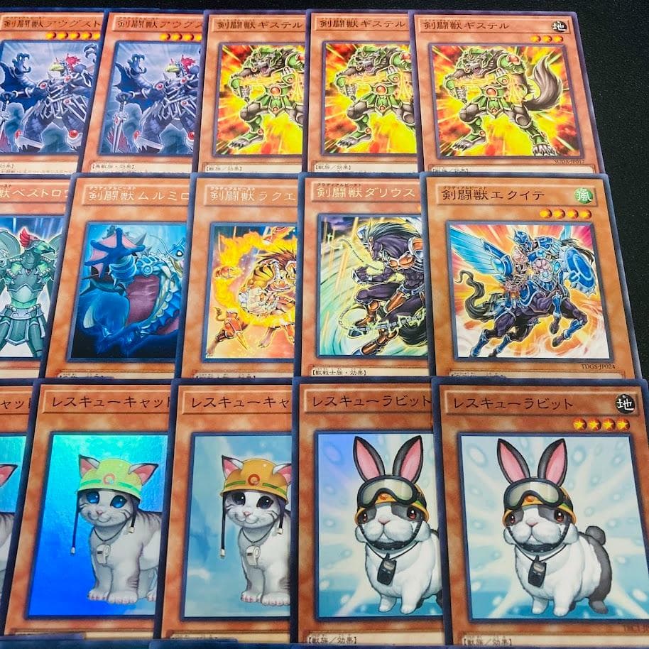 d138遊戯王 剣闘獣 グラディアルビースト デッキ 調整パーツ スリーブ付