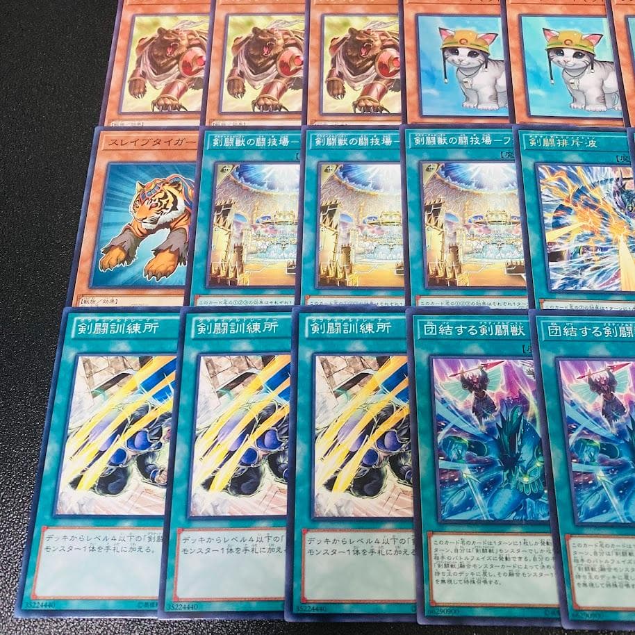 d138遊戯王 剣闘獣 グラディアルビースト デッキ 調整パーツ スリーブ付