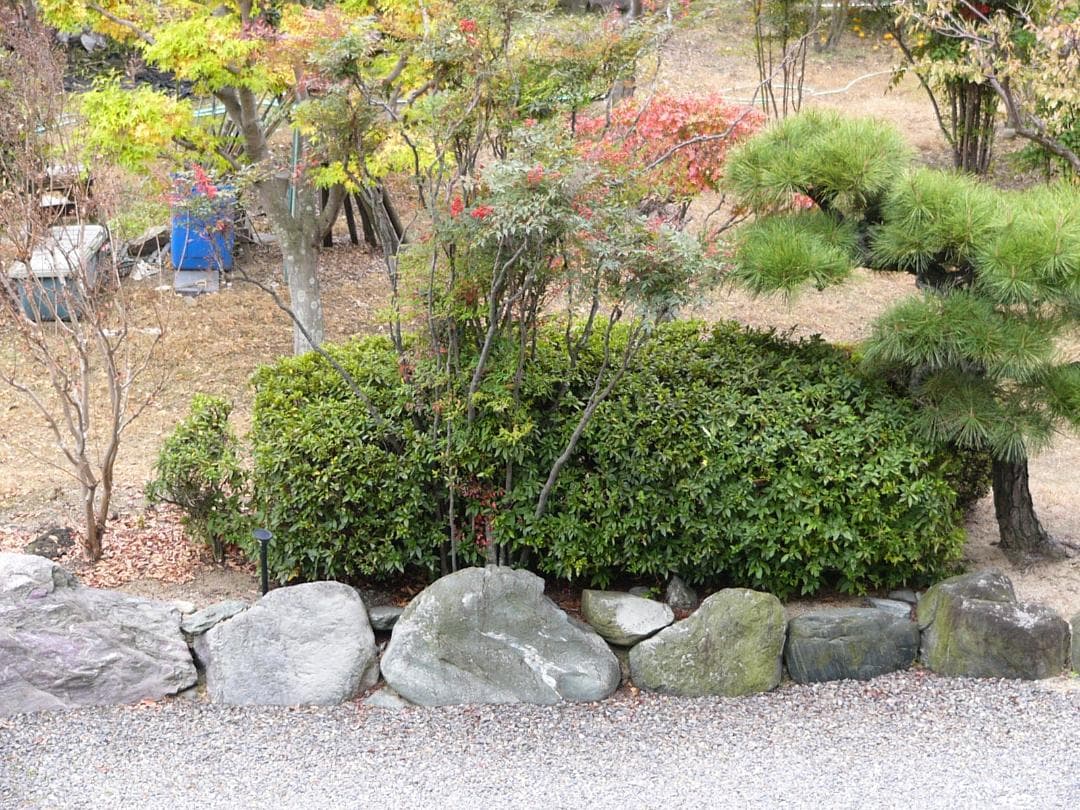 超美品 撮影画像あり　Panasonic　DMC-FZ2　付属品あり　動作良好