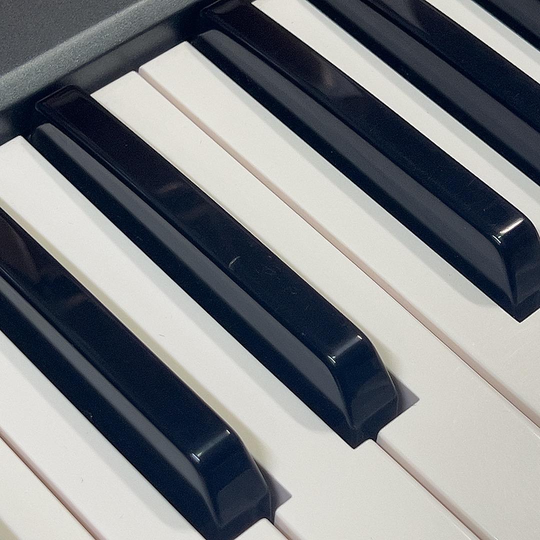 YAMAHAハーモニーディレクター（HD-100）ACアダプタ・ソフトケース付