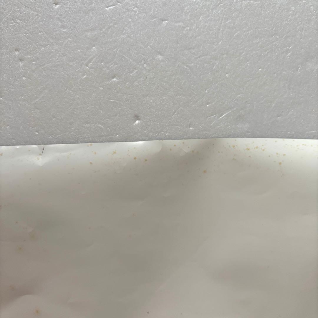 BUMP OF CHICKEN ポスター 特典 CD DVD バンプ ベスト