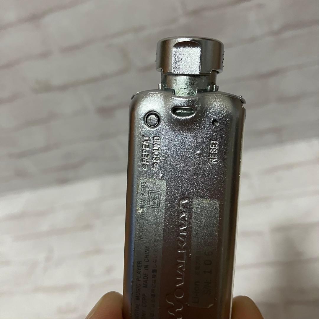 現状品　SONY WALKMAN NW-A605 クリップ付き　ブルー