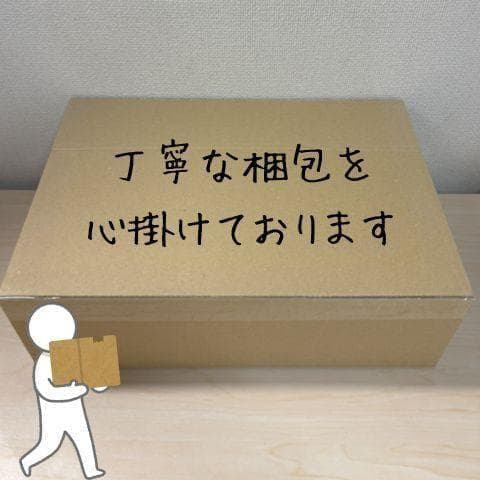 BigBlue ソーラーパネル ソーラー充電器 22W USB-A/Type-p