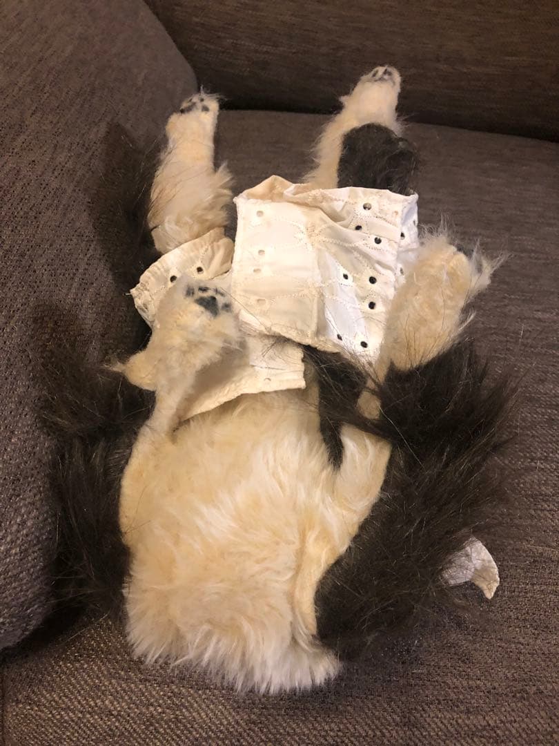 リボーンドール⭐️小犬⭐️抱き人形❤️こぐま❤️