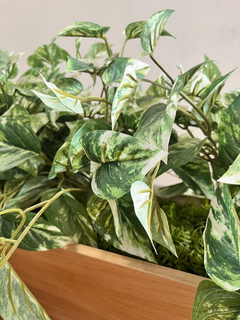 フェイクグリーン　卓上ポット　プランター　ポトス　ベルク　店舗什器　造花