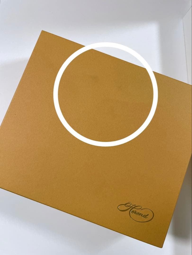 定価52,800円 HERENDアポニーグリーン ハンドル付きリーフトレイ