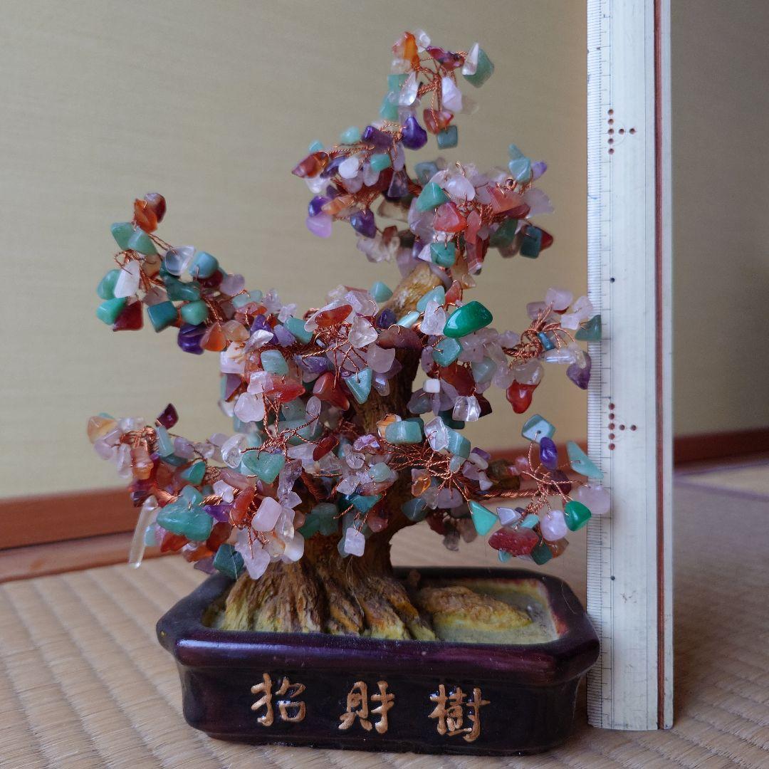 招財樹