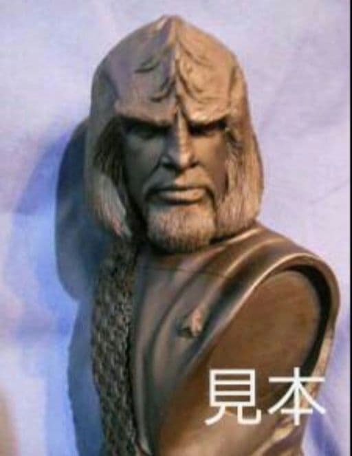 スタートレック TNG    ウォーフ中尉