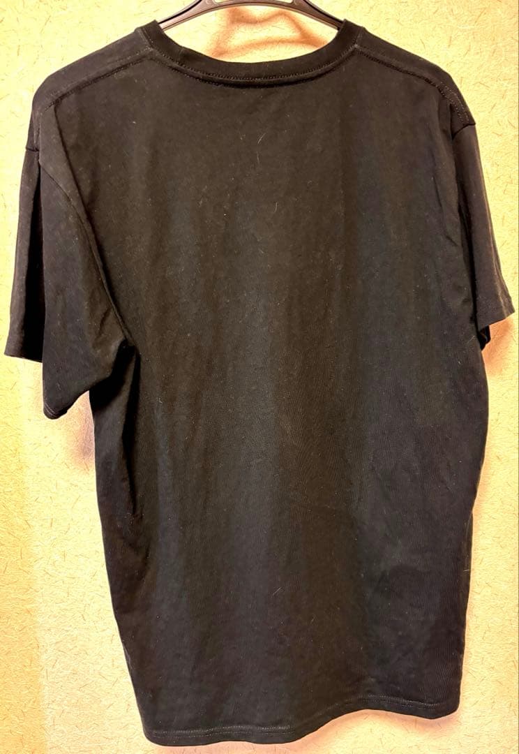 ブランキージェットシティー DIJ Tシャツ BLANKEY JET CITY