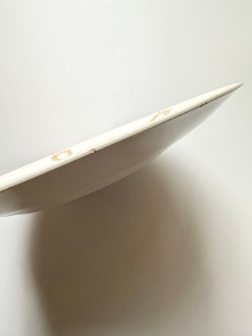 サルグミンヌ　お皿　平皿　プレート　フランス　アンティーク