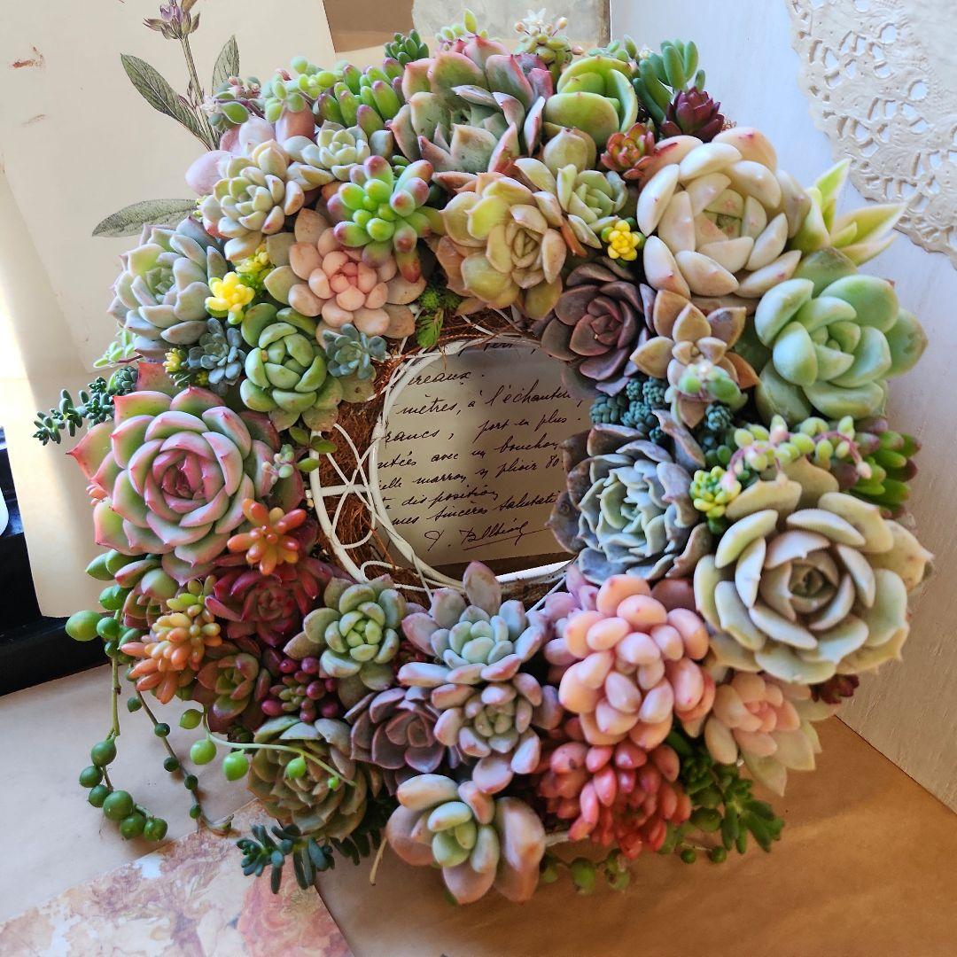 多肉植物寄せ植え　そのまま飾れる　ふんわりリース⋆。:゜・*