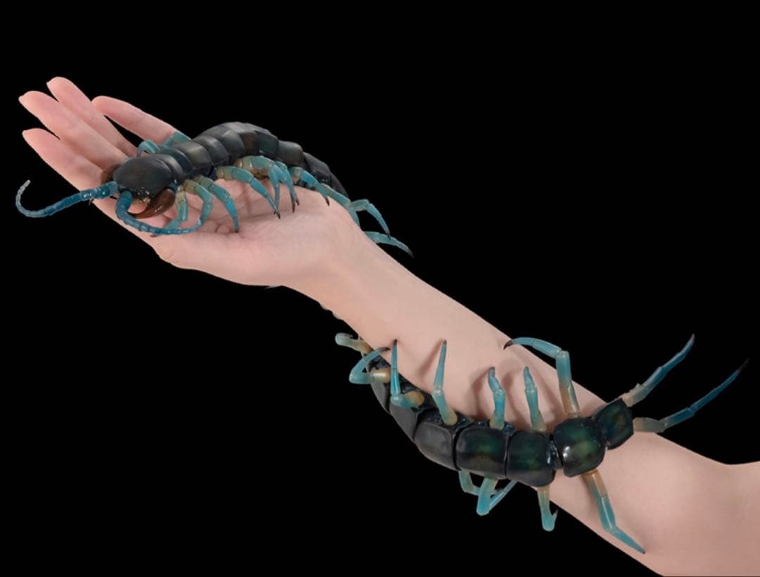 いきもの大図鑑アルティメット　リュウジンオオムカデ