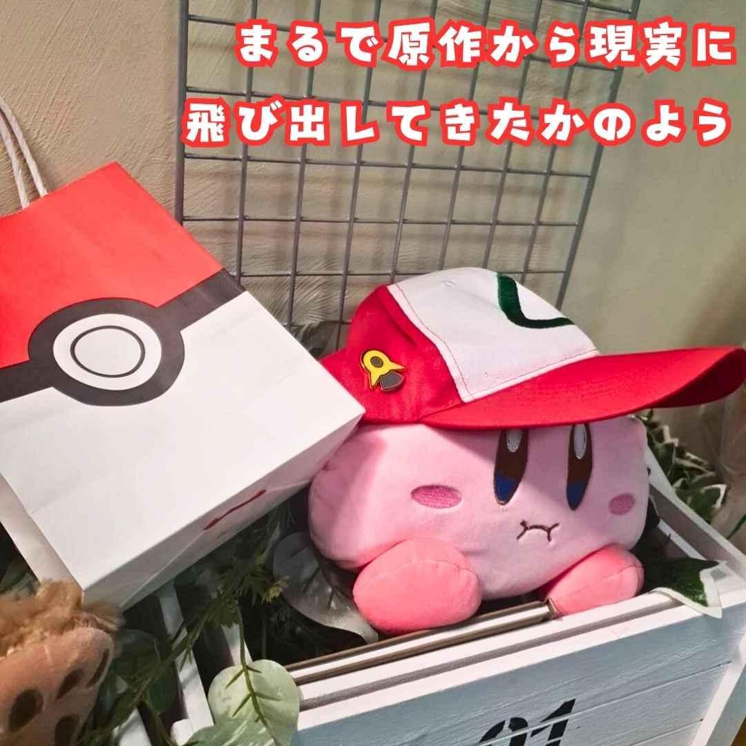 バッジ ジムリーダー シンオウ地方 ８種セット リボン袋付【残3のみ】