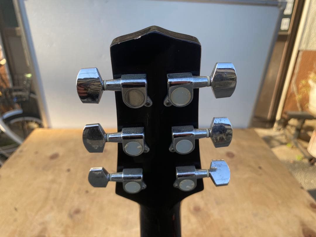 Peavey AGP6 アコースティックギター　ソフトケース付き　ビンテージ