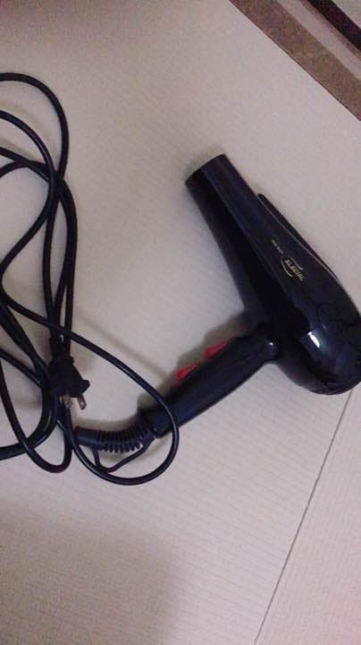 ヘアドライヤー ECO Dryer ALACIAL