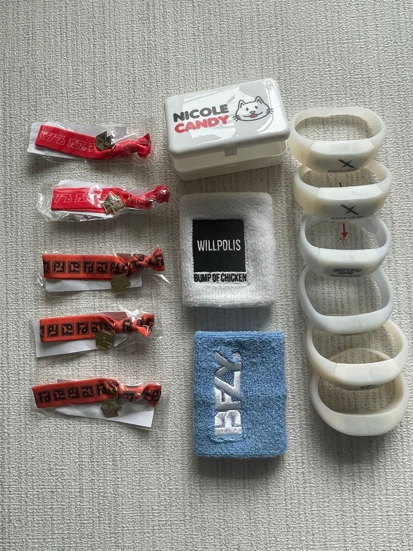 BUMP OF CHICKEN ライブグッズセット