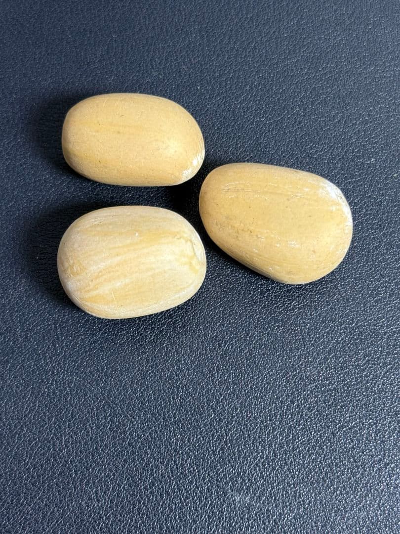 タ*ツ様 エンセファラルトス　ホリダス　種子2個