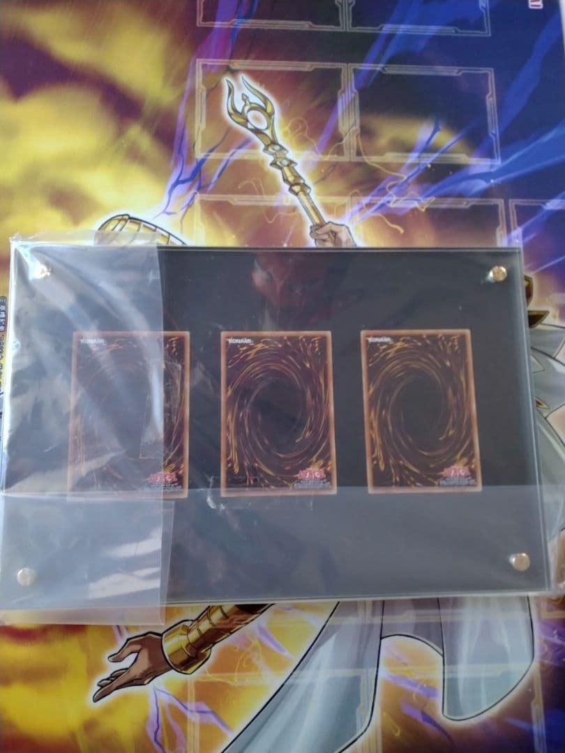 海馬セット　ディスプレイ　ケース　スクリューダウン　25th　ローダー