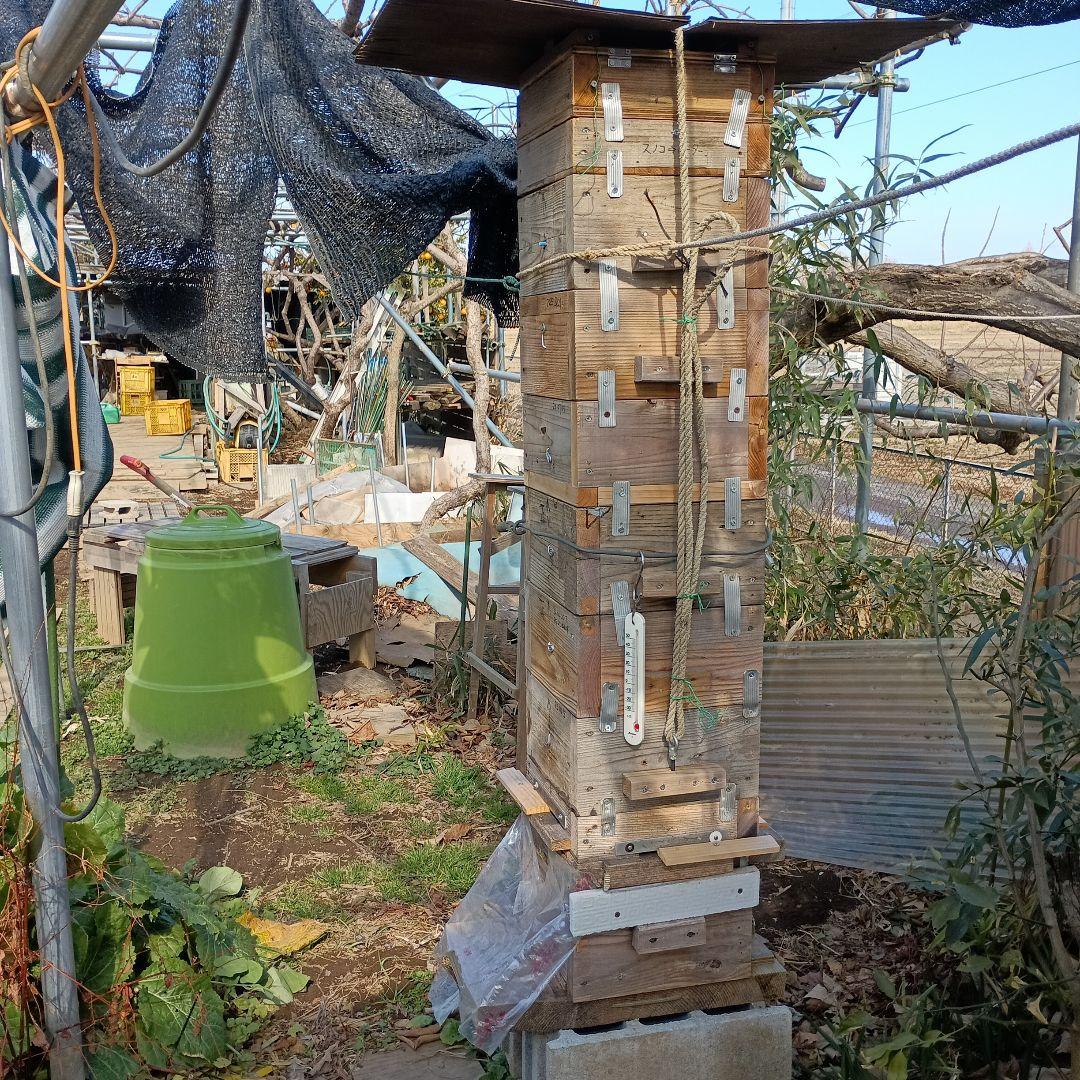 日本蜜蜂の巣箱　26.01