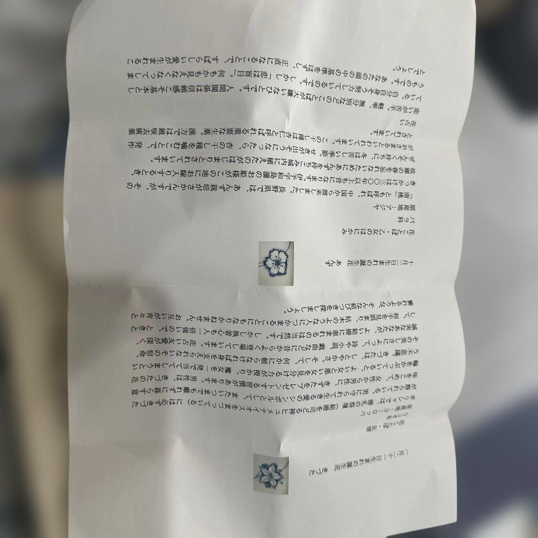 青い花柄 古染付皿 青山度　青山双男