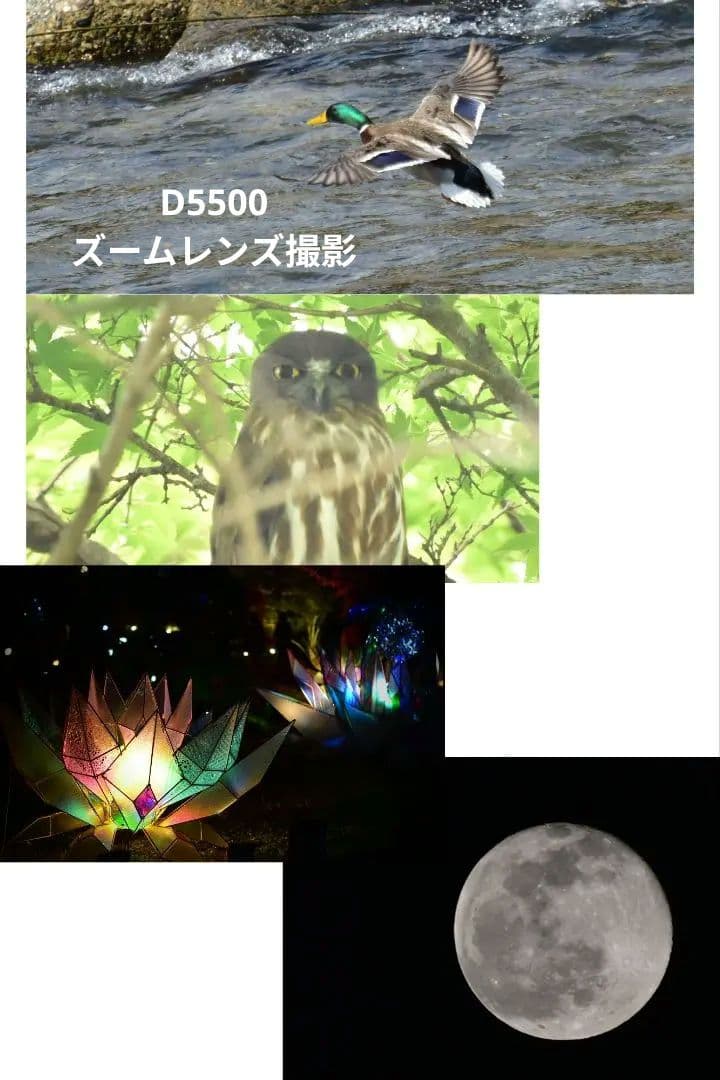 【くらは 即購入OKです】VR望遠レンズ付】Nikon　D5500/他…