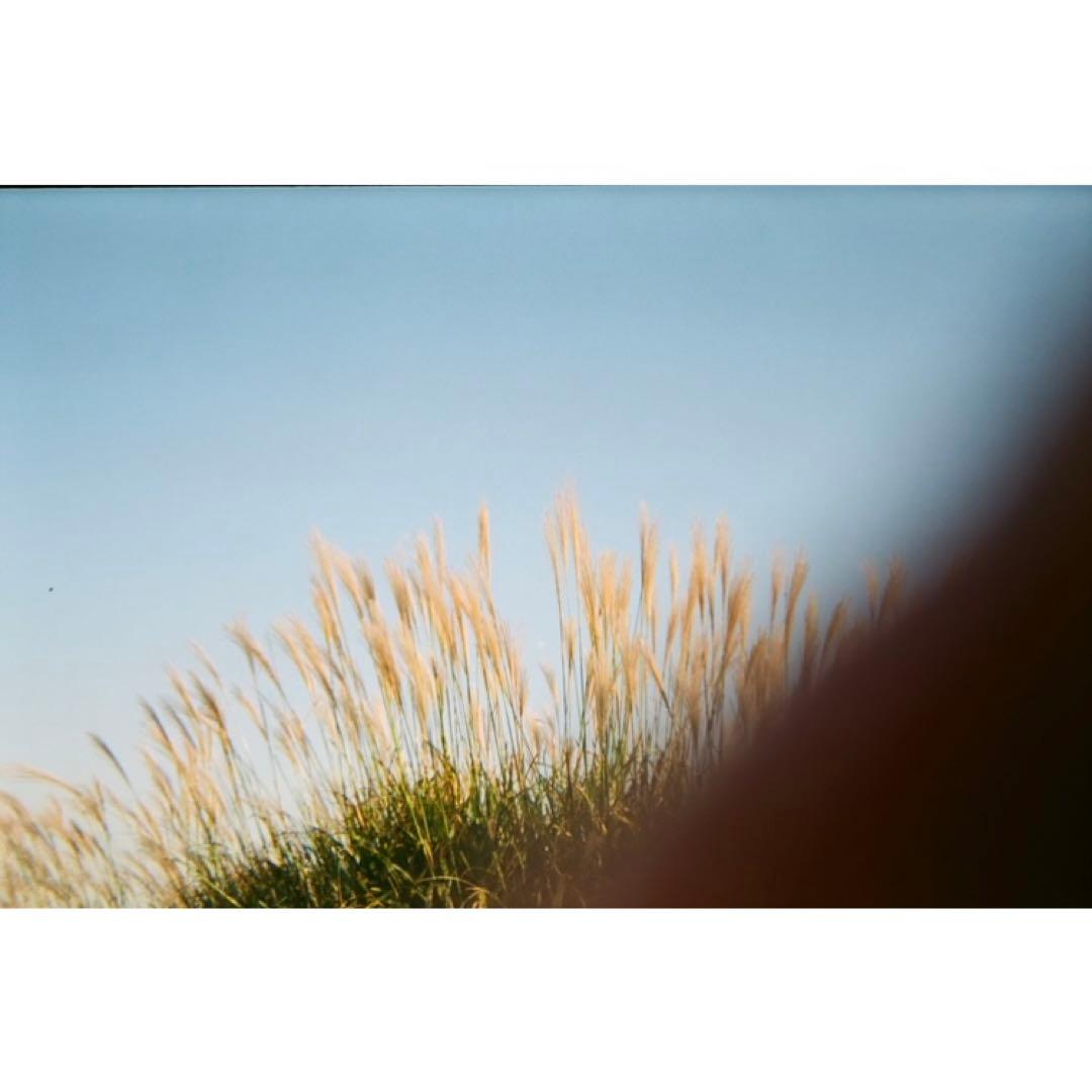 ポチャッコ　フィルムカメラ