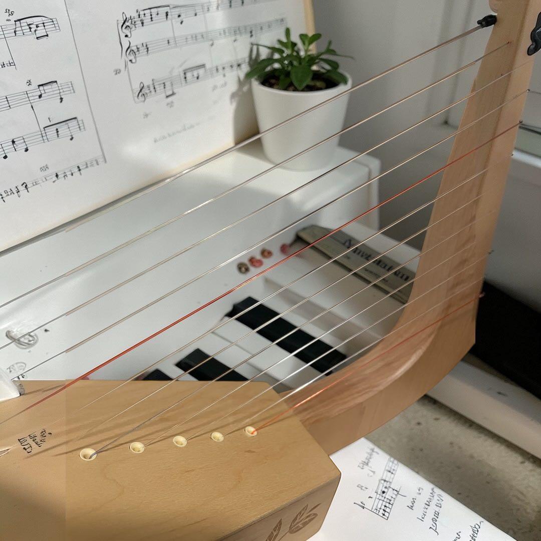 ベイビーハープ ミニハープ 12弦 Beary Harpy 日本未発売？ クマ