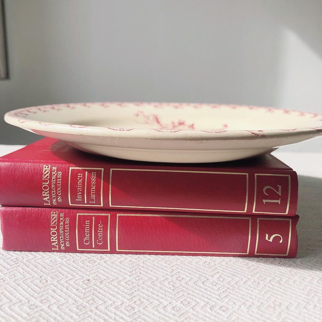 希少　GIEN ジアン あざみ柄ディナープレート　フランスアンティークプレート