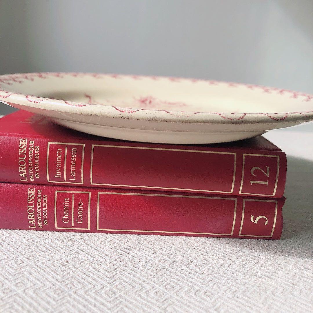 希少　GIEN ジアン あざみ柄ディナープレート　フランスアンティークプレート