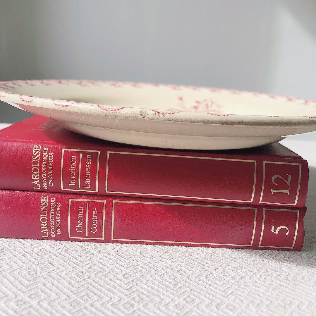 希少　GIEN ジアン あざみ柄ディナープレート　フランスアンティークプレート