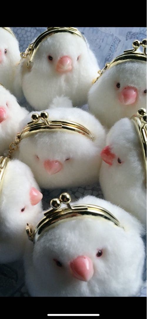 白文鳥　がま口