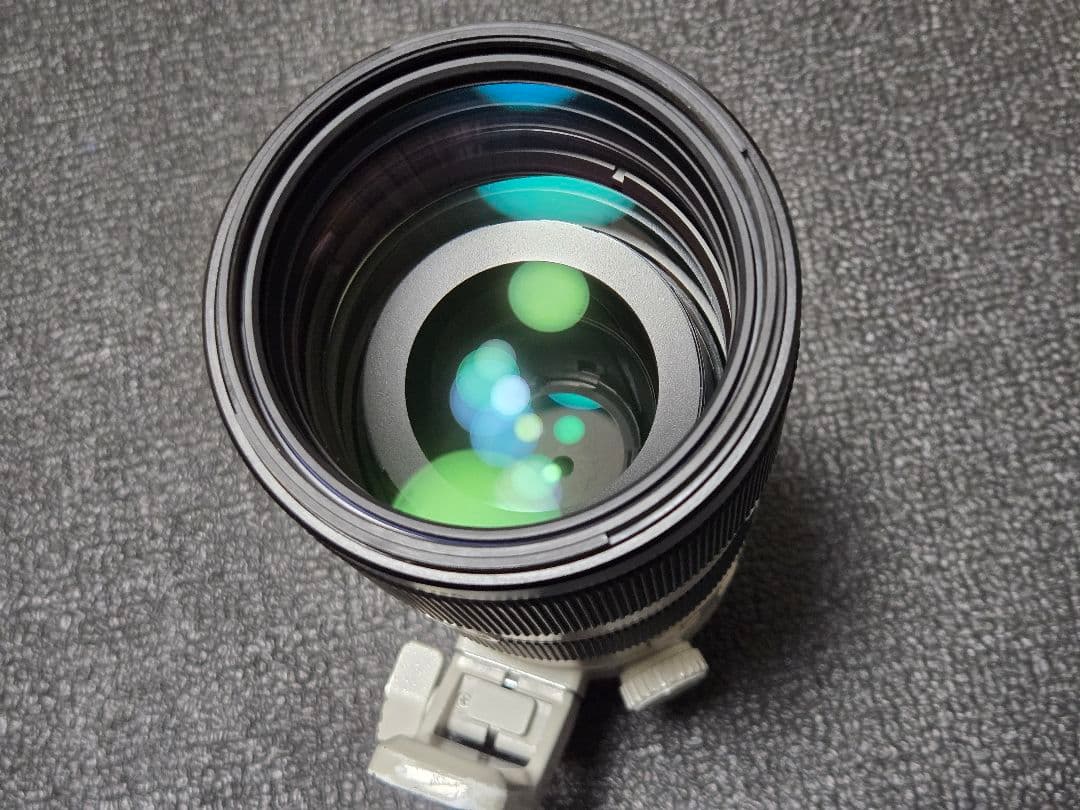 Sony FE70-200mm F2.8 GM OSS 中古実用品
