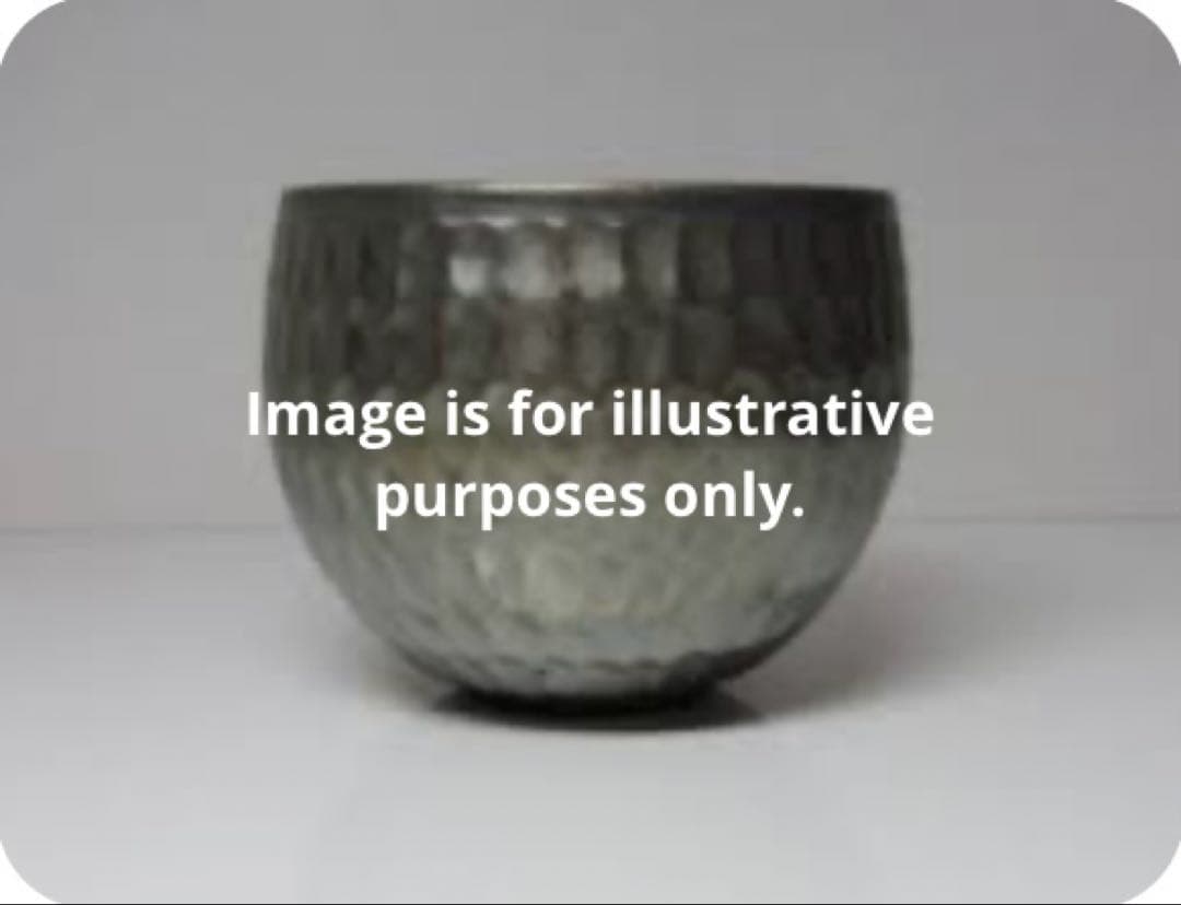 【beautiful silver color】木村年克 27cm プレート2枚