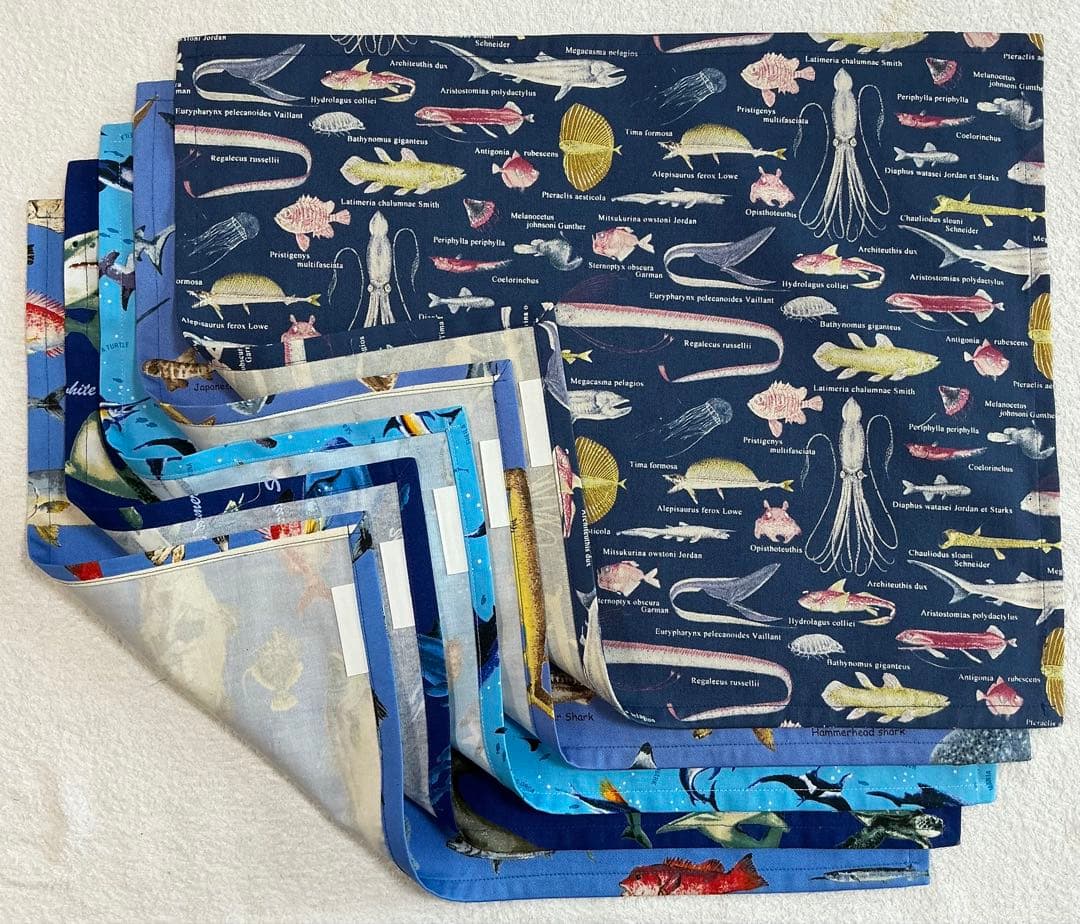 005 海 給食セット×5枚 小学校 ランチョンマット ネームタグ 入学 給食