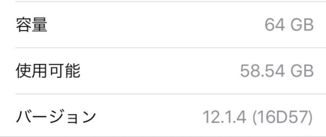状態良好 64GB iPhone SE 初代 スペースグレー
