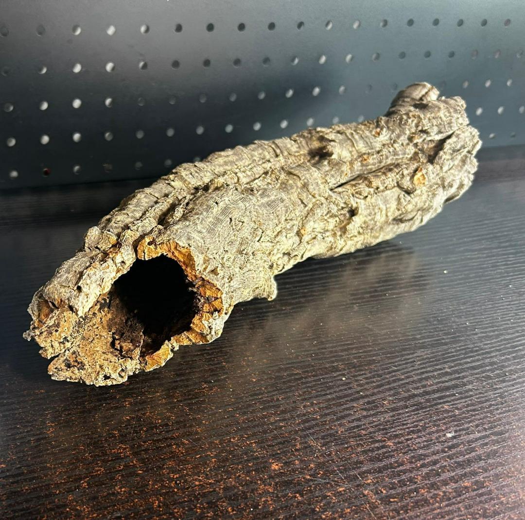 260301 ポルトガル産 キャノンコルク コルク樹皮 コルク板　バージンコルク