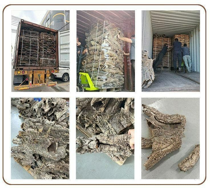 260301 ポルトガル産 キャノンコルク コルク樹皮 コルク板　バージンコルク