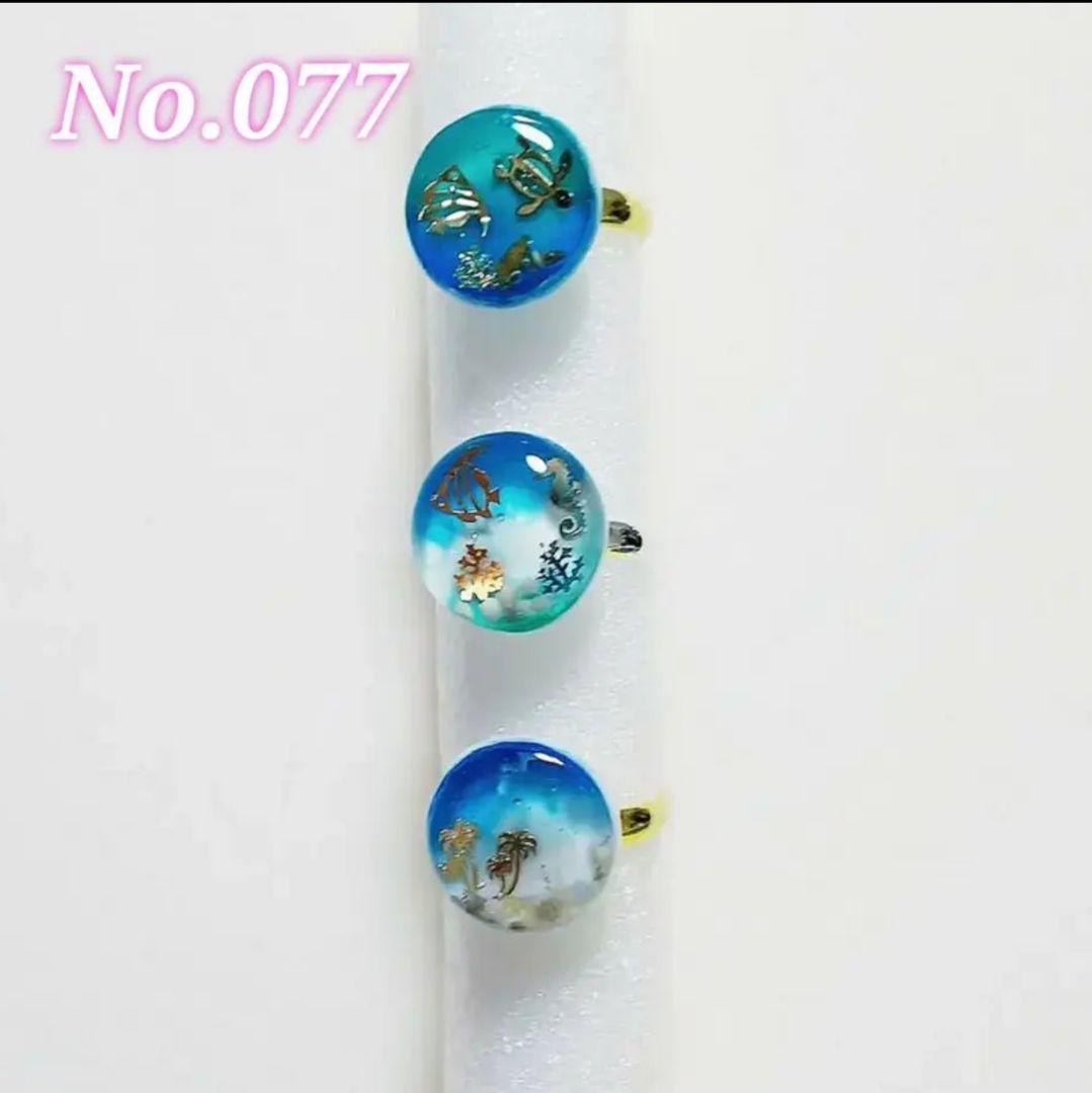 【077】海のリング／珊瑚／亀／熱帯魚／海