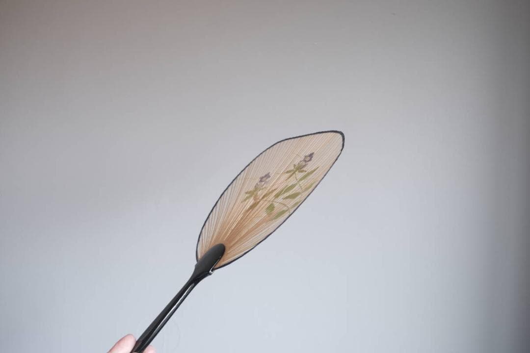 2個セット【新品】岐阜 美濃和紙 水うちわ 透ける団扇（桔梗/鳥） 化粧箱付