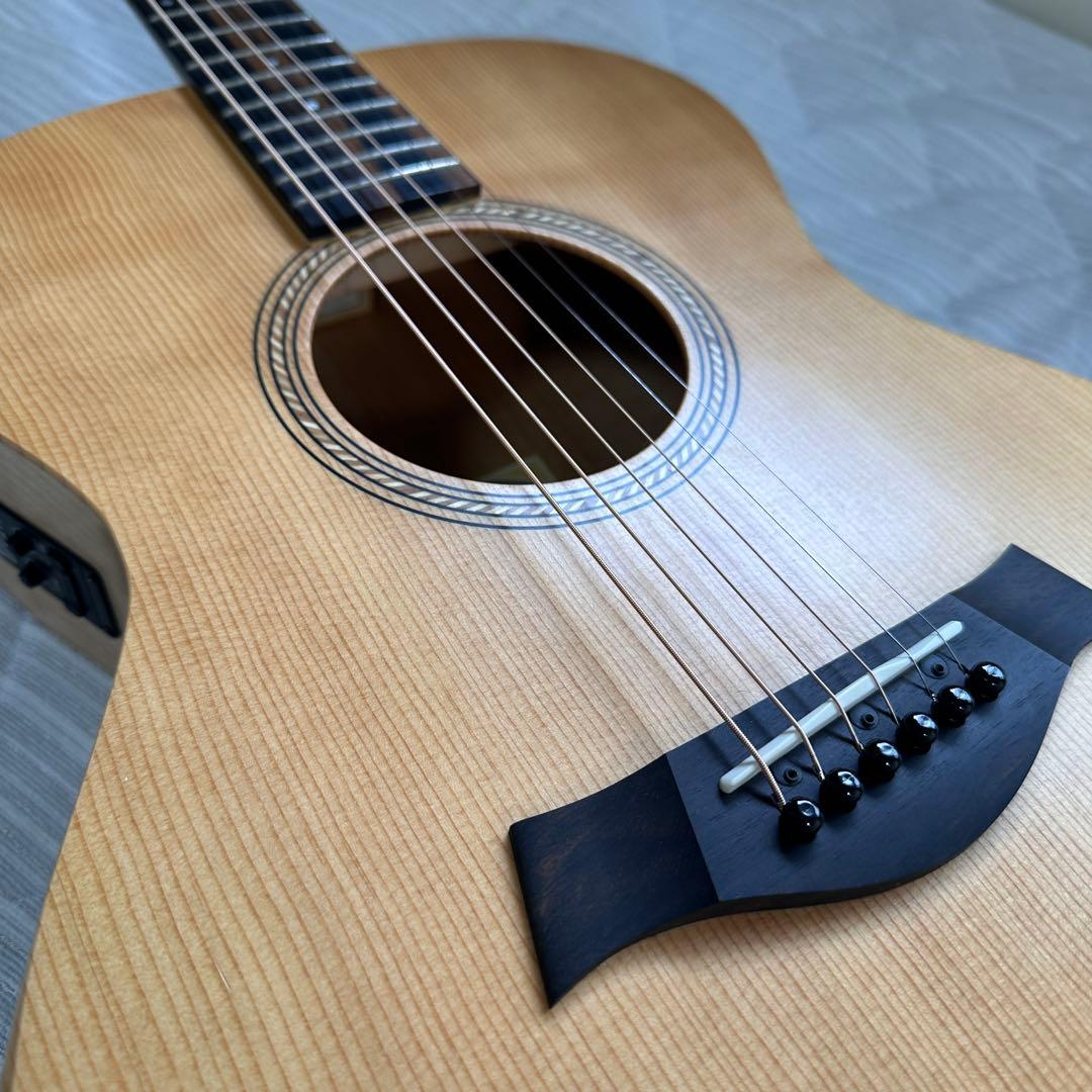 Taylor LTD Academy EG 12e 【新品¥162,000】