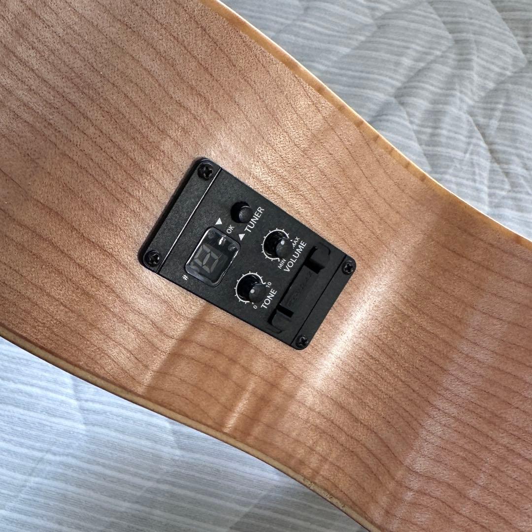 Taylor LTD Academy EG 12e 【新品¥162,000】