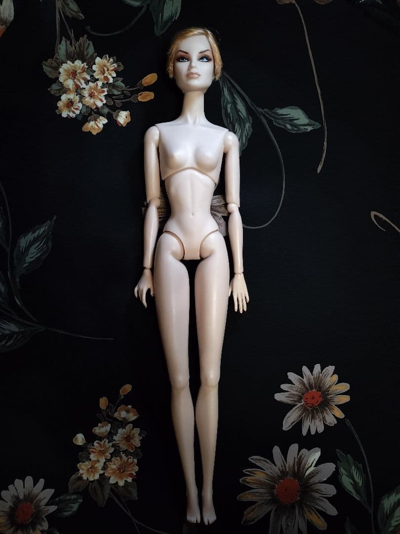 ファッションロイヤリティ素体