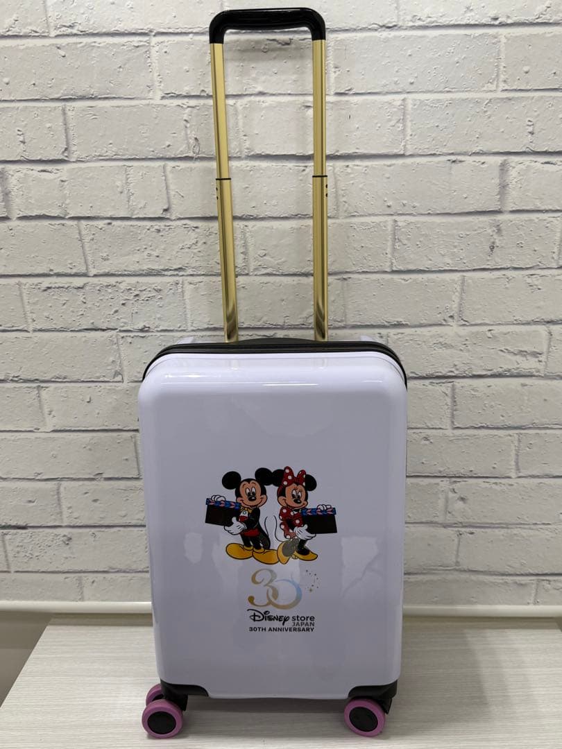 ディズニーストア　30周年記念　スーツケース　ミッキー & ミニー