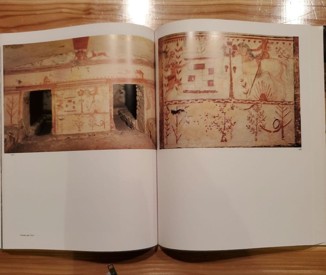 エトルリアの壁画 書籍 ケース付き　岩波書店