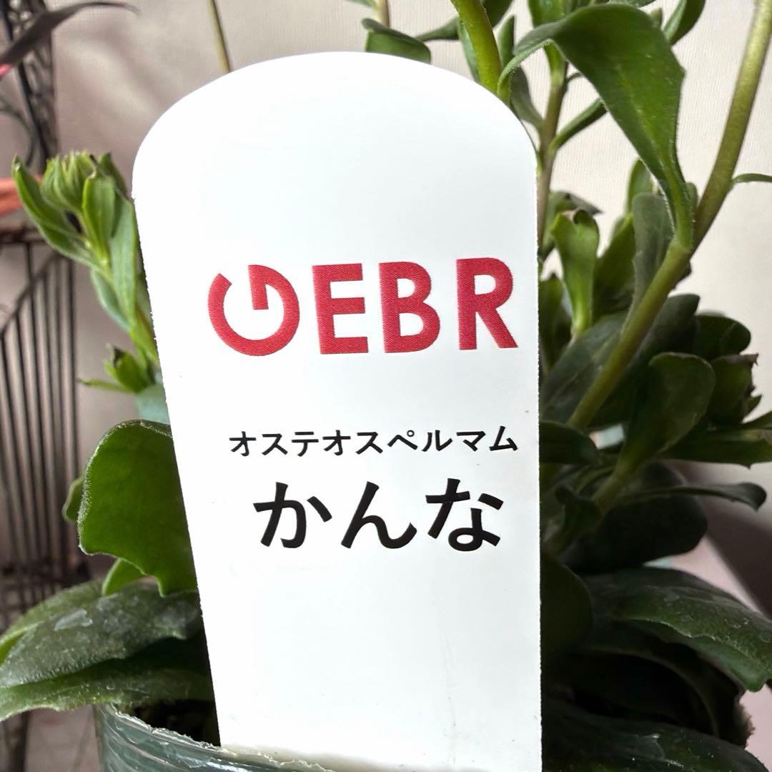 user_7b90df9b様　確認用