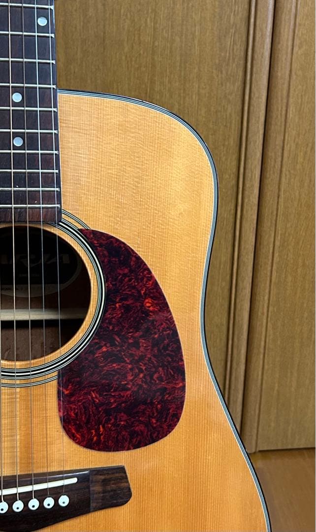 Aria ADW-300 SN アコースティックギター 調整済 ソフトケース付