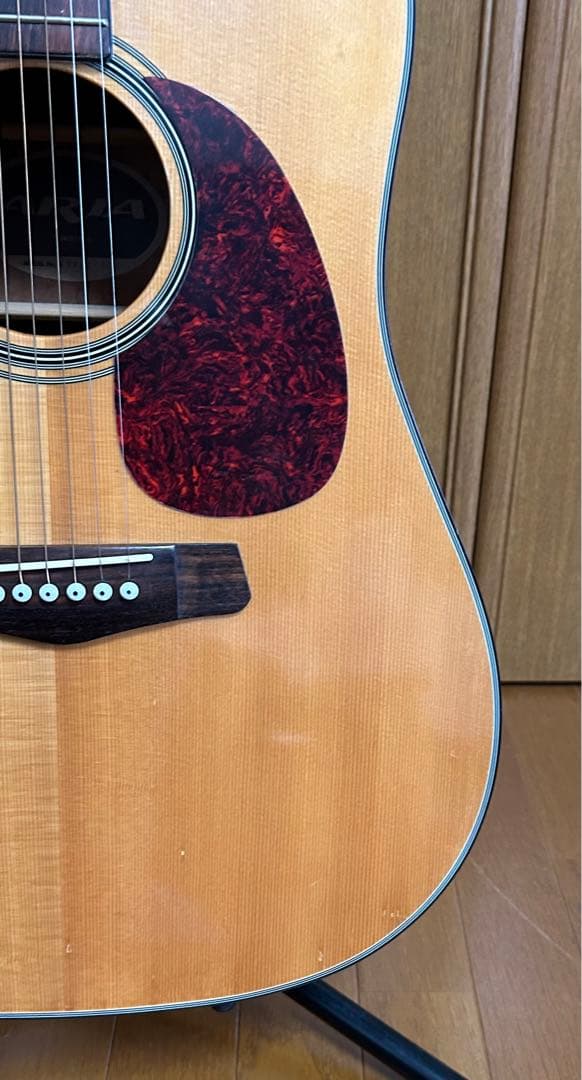 Aria ADW-300 SN アコースティックギター 調整済 ソフトケース付