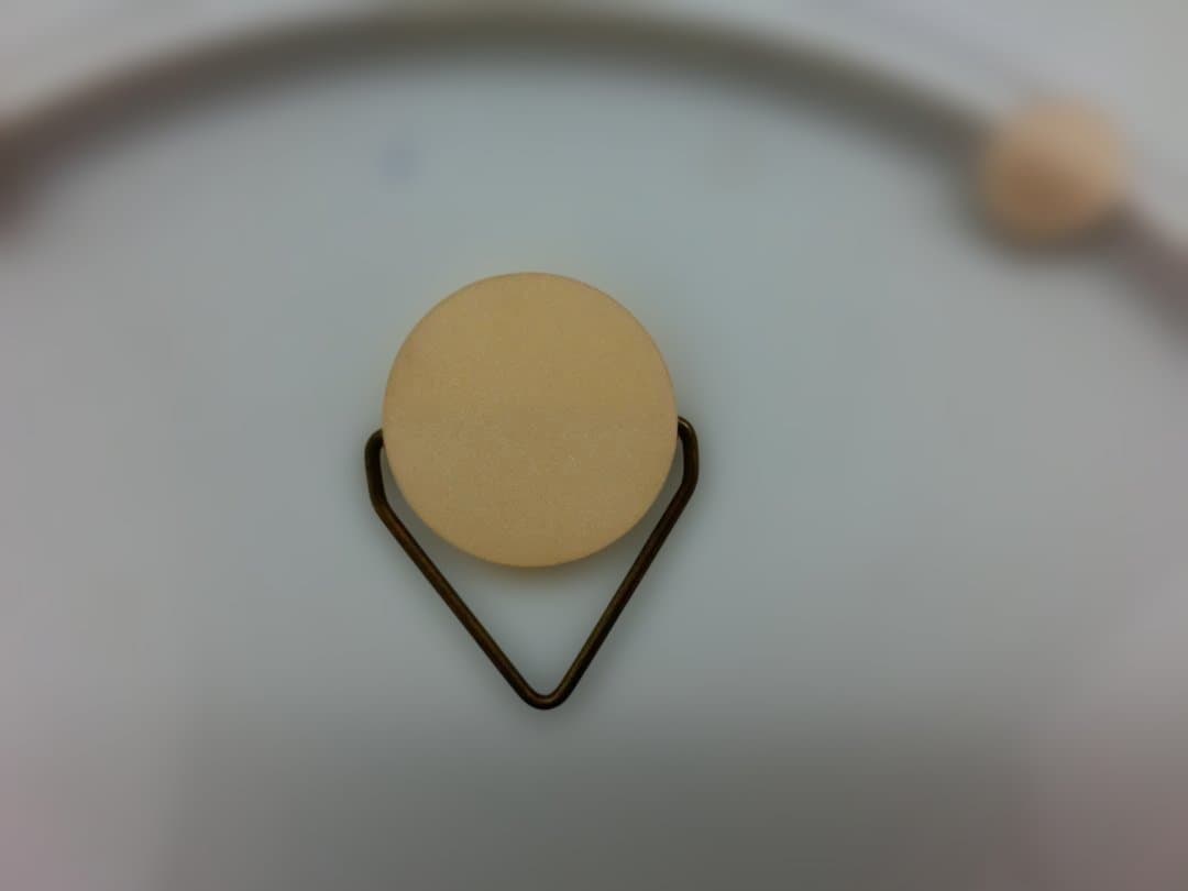 【マイセン】イヤープレート1993年夢の島