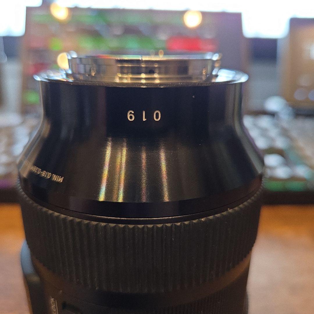 Sigma Art 24-70mm F2.8 DG DN ソニーEマウント
